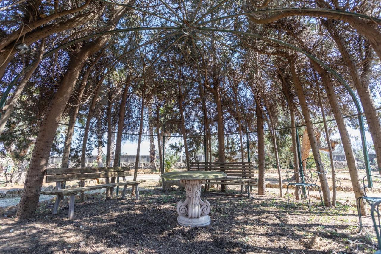 Villa Antonietta アッリステ エクステリア 写真